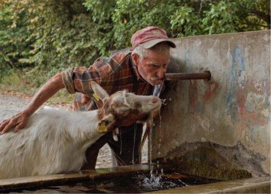 Εικόνα επιλογής